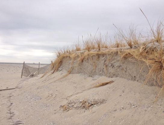 Storm worn beach